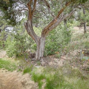 Vila Jemez Springs Cabin With Deck And Mountain Views! Exterior photo