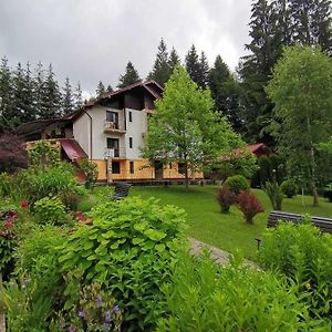 Hotel Pensiunea Lu' Movila Durău Exterior photo