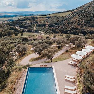 Apartmán Corte Francigena Montalcino Exterior photo