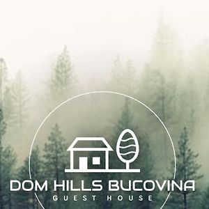 Hotel Dom Hills Bucovina Hura-Humora Exterior photo