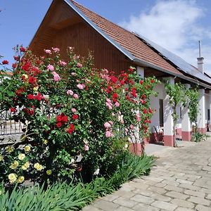 Apartmán Penzion Na Vyminku Veselí nad Moravou Exterior photo