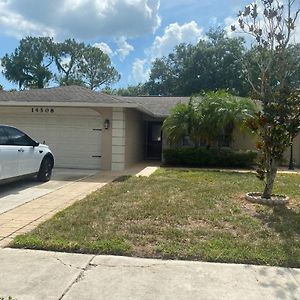 Vila Cheerful 3 Bed House In A Cul- De-Sac! Tampa Exterior photo