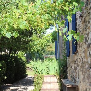 Bed and Breakfast La Maison Cayre Mirandol-Bourgnounac Exterior photo