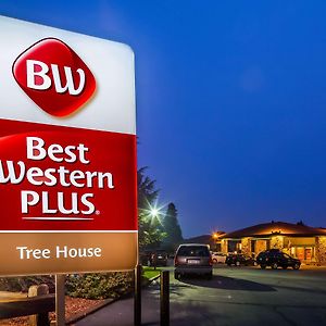 Hotel Best Western Plus Tree House Mount Shasta Exterior photo