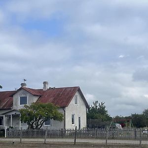 Vila 12Bed House With Poolarea Hablingbo South Gotland Havdhem Exterior photo