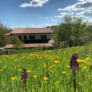 Bed and Breakfast Butterflies Rest Gubbio Exterior photo