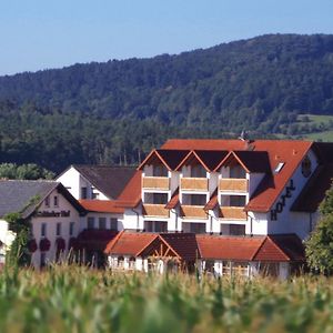 Hotel Wagners Fraenkischer Hof Altenkunstadt Exterior photo