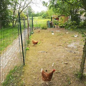 Vila La Ferme Du Petit Chavernay Meslay-le-Vidame Exterior photo