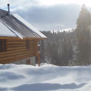 Vila Chalet Bois Rond Aux Paysages Uniques Avec Spa ! Lac-aux-Sables Exterior photo