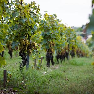 Vila Gite Au Milieu Des Vignes Prignac-et-Marcamps Exterior photo