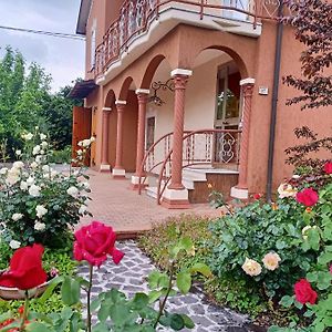 Bed and Breakfast Lily - Storie Del Bosco - San Felice sul Panaro Exterior photo