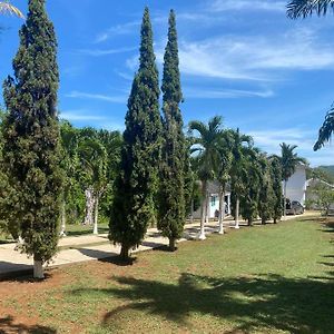 Lachemar Guest House Ocho Rios Exterior photo