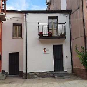 Bed and Breakfast Casa Vacanze Dante San Pietro a Maida Exterior photo