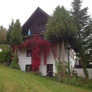 Apartmán Waldblick Tannenberg Exterior photo