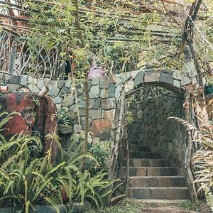 Earthship Amazing Cabins With Lake View San Marcos La Laguna Exterior photo