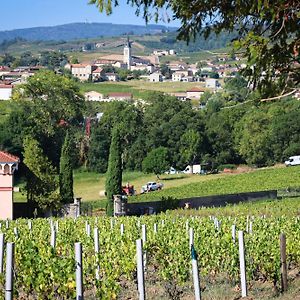 Vila Gite De La Vieille Vigne Fleurie Exterior photo