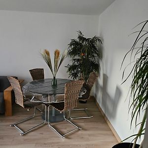 Appartement Proche Gare Aeroport Mulhouse Riedisheim Exterior photo