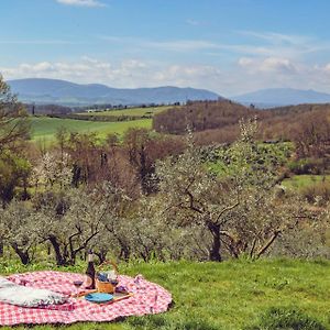 Bed and Breakfast Olio Su Tela Paliano Exterior photo