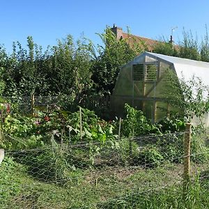 Vila Les Jardins D'Olus Wandignies-Hamage Exterior photo