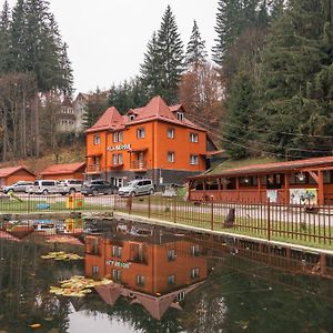 Hotel Vila Bradul Lacu Rosu Exterior photo