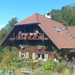 Bright, Sunny Holiday Apartment On The Farm Buchholterberg Exterior photo