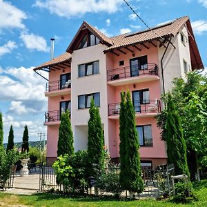 Hotel Pensiunea Emma Sîmbăta de Sus Exterior photo