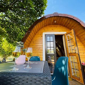 Penzion The Gold Pod, Relax And Enjoy On A Glamping House Corredoura Exterior photo
