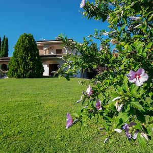 La Villa Dei Tartufi - B&B Corfinio Exterior photo