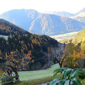 Apartmán Martlerhof Urlaub Auf Dem Bauernhof Campo di Trens Exterior photo