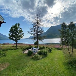 Vila Unique And Charming House At The Foot Of Lofoten'S Highest Mountain Svolvær Exterior photo