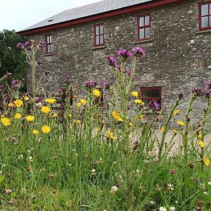 Vila The Old Mill, Kilcorkey, Bellanagare, Castlerea, County Roscommon - West Of Ireland -House 1 Exterior photo