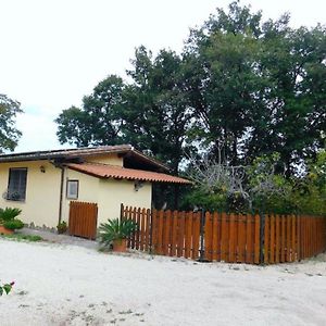 Vila Ferienhaus Fuer 4 Personen 1 Kind Ca 75 Qm In Bottaccio, Latium Rom Und Umgebung Castel di Guido Exterior photo