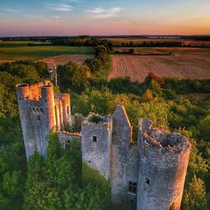 Bed and Breakfast Le Domaine Du Chateau Varennes-les-Narcy Exterior photo