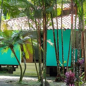 Vila Jungle Dreamz Manzanillo  Exterior photo