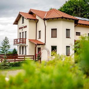 Hotel Pensiunea Rozelor Statiunea Climaterica Sambata Sîmbăta de Sus Exterior photo