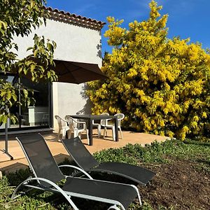 Vila Gite La Crau & Piscine - Oliveraie Bio Mas De Cargane Entressen Exterior photo