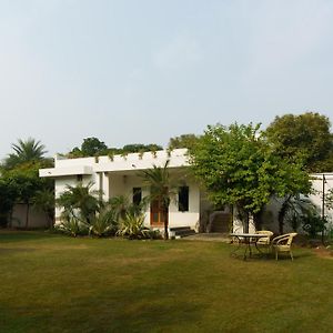 Luxury Villa With Swimming Pool Džajpur Exterior photo