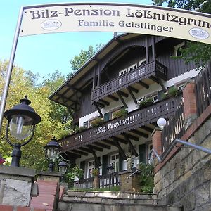 Hotel Bilz-Pension Radebeul Exterior photo