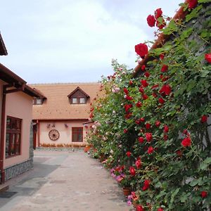 Hotel Pension Ela Sibiu Exterior photo