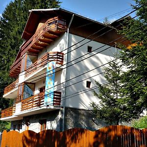 Hotel Pension Casa Soarelui Sinaia Exterior photo