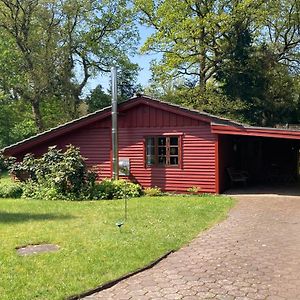 Vila Ferienhaus Kleines Meisenhaus Wing100 Im Naturpark Wingst Exterior photo