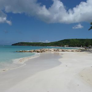 Aparthotel Buccaneer Beach Club Dickenson Bay Exterior photo