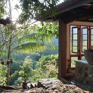 Singharaja Garden Agro Eco Lodge Pelawatta  Exterior photo