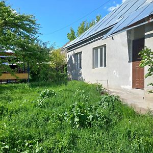 Vila A Cosy House With A Wonderful Garden Khorog Exterior photo
