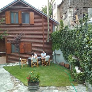 Vila Casa Di Lemnu - Ξυλόσπιτο Στο Ματσούκι Βορείων Τζουμέρκων Matsouki Exterior photo