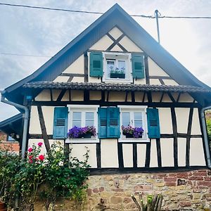 Vila Chez Hanna Et Michel Morsbronn-les-Bains Exterior photo