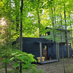 Hotel Black Pine Tree House Acton Exterior photo