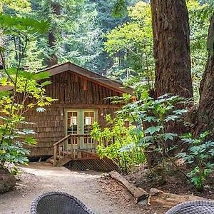 Vila Magical Cabin Retreat In The Redwoods!! Notleys Landing Exterior photo