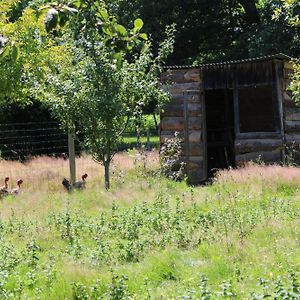 Vila Ecogite Rural La Cle Des Champs Peyrelongue-Abos Room photo