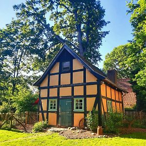 Vila Auszeit Vom Alltag In Urigem Ferienhaus In Ruhiger, Idyllischer Natur Im Duemmer-Weserland Rehden Exterior photo